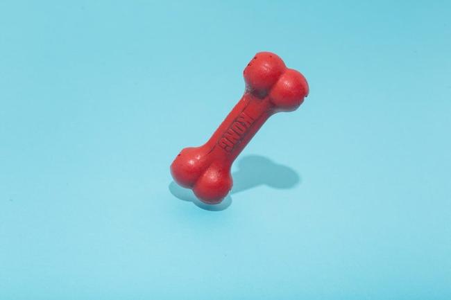 Dog Toy Collection