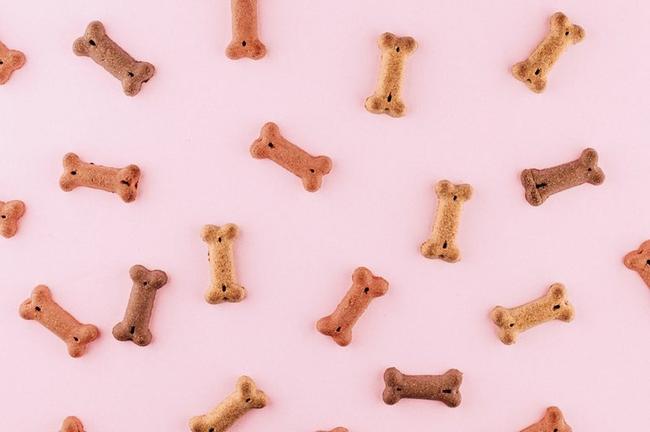 Pet Boutique Treats