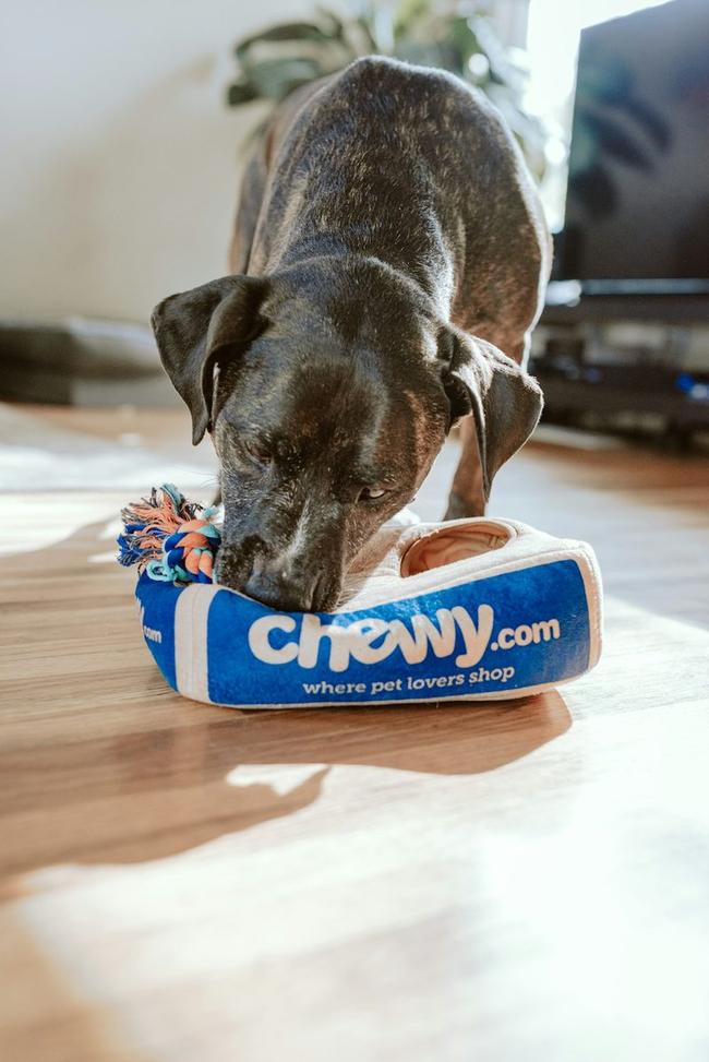 Custom Harness